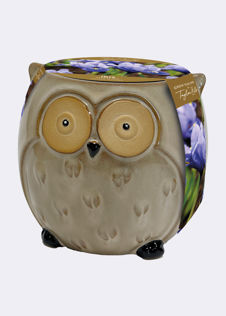 Novelty Owl Planter