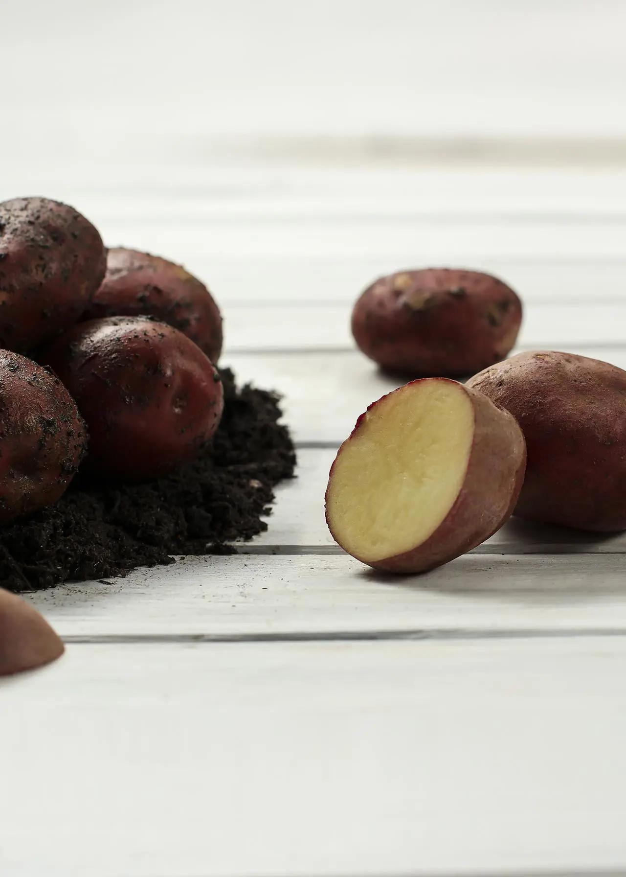 Seed Potato Red Duke of York 1kg
