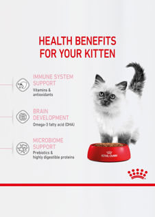 Royal Canin Dry Kitten Food 2kg