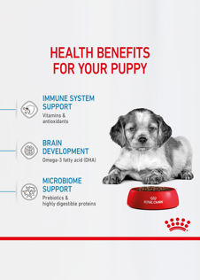 Royal Canin Dry Maxi Puppy Food 4kg