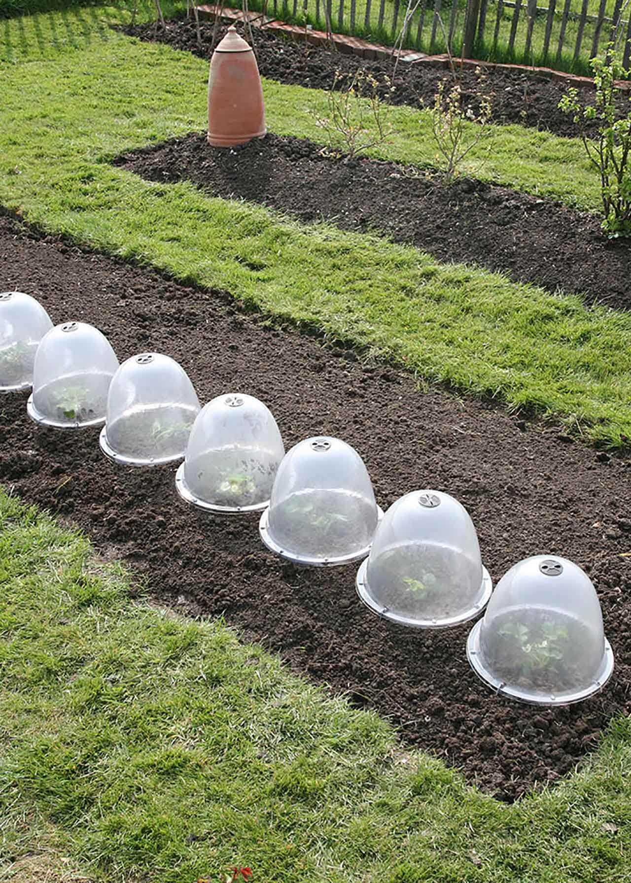 Original Victorian Bell Cloche - 3 pack
