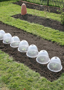 Original Victorian Bell Cloche - 3 pack