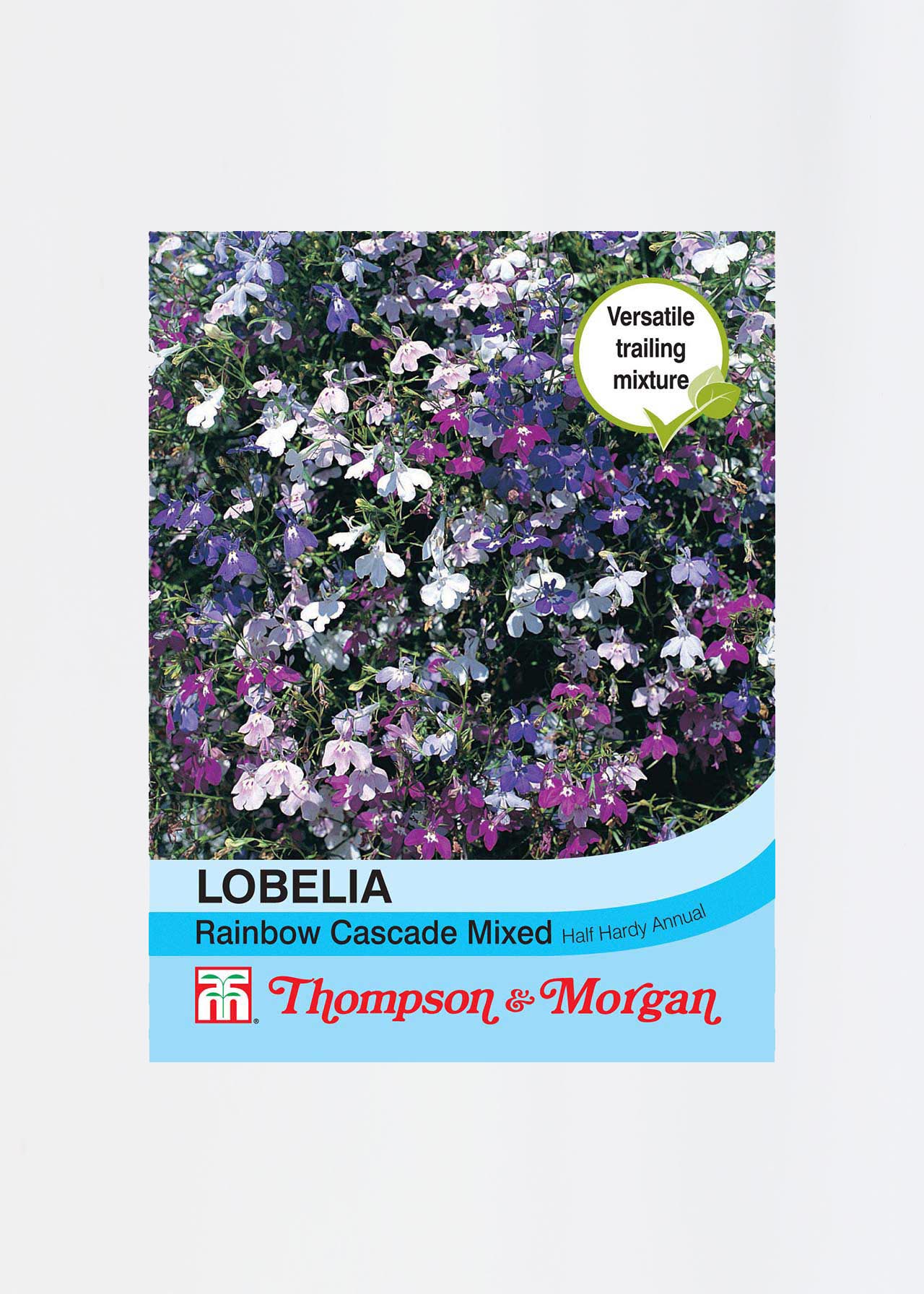 Thompson & Morgan Lobelia 1000 Seed White Cascade Flowers Trailing