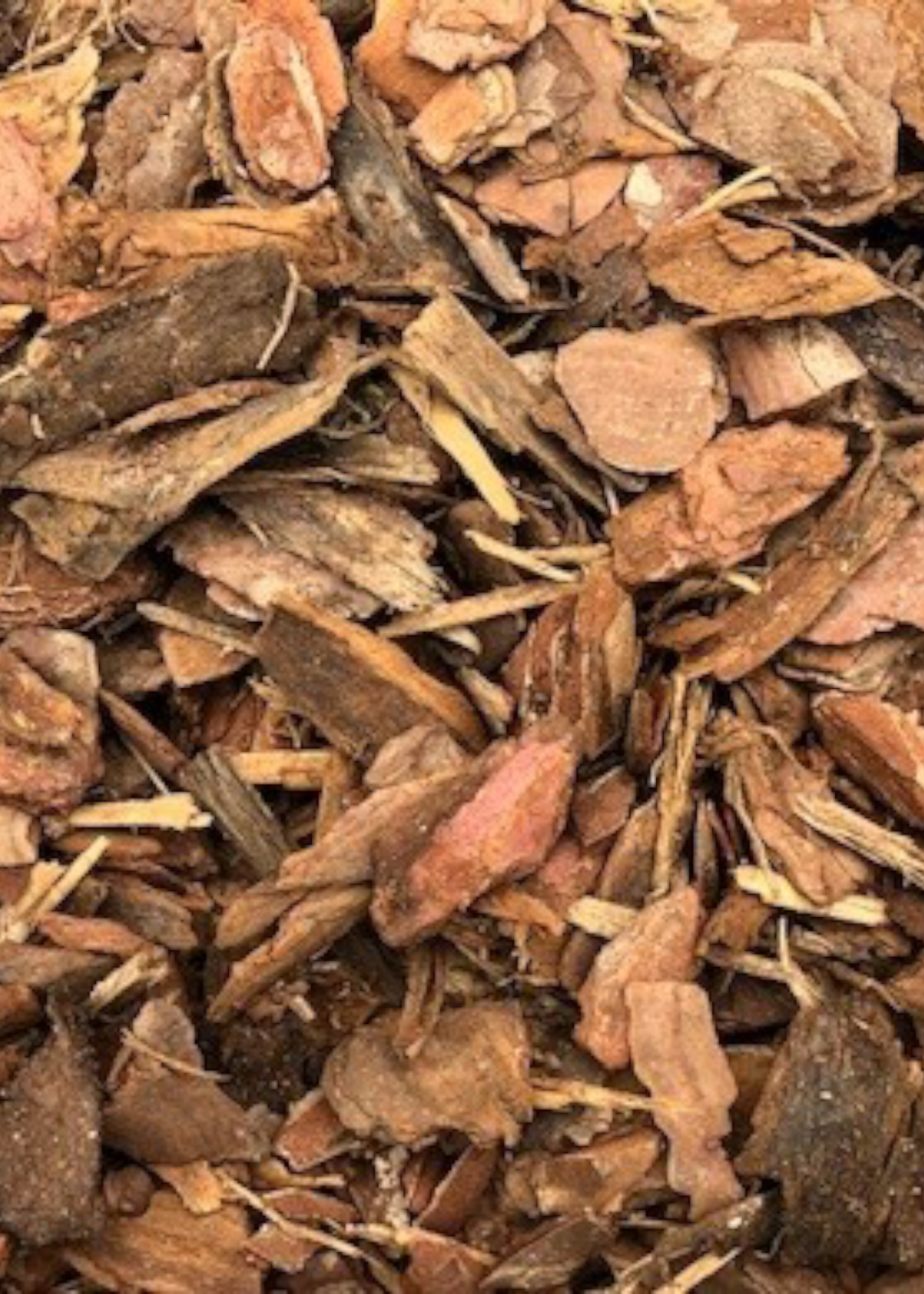 Harrowden Ornamental Pine Play Bark