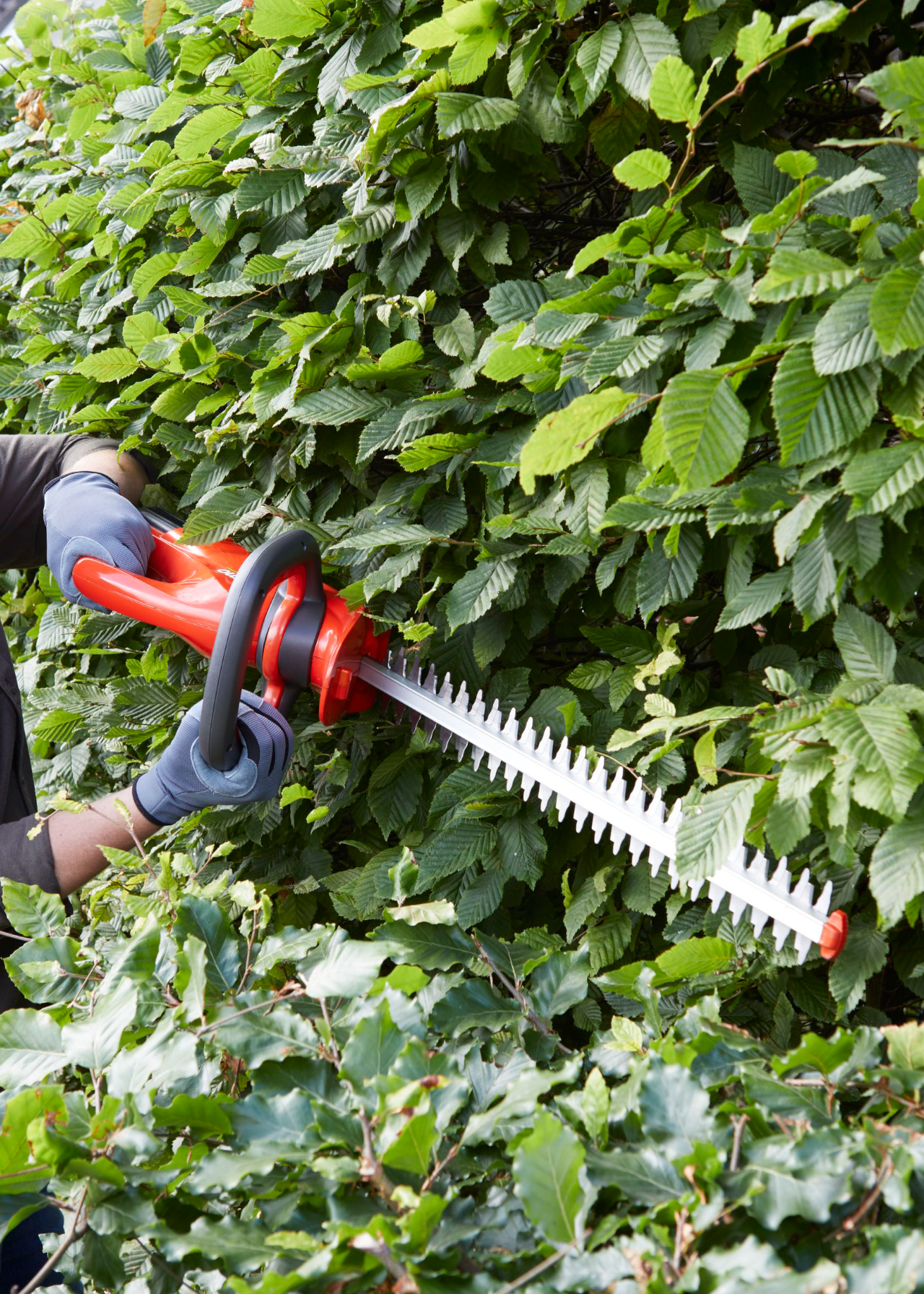 Flymo EasiCut 20V Cordless Hedge Trimmer