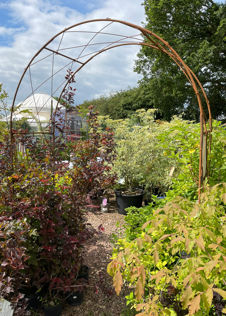 Oregon Softstanding Bare Metal Garden Arch With Infill Pack