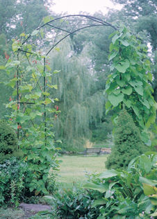 Monet Softstanding Garden Arch With Infill Pack