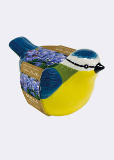 Blue Tit Planter