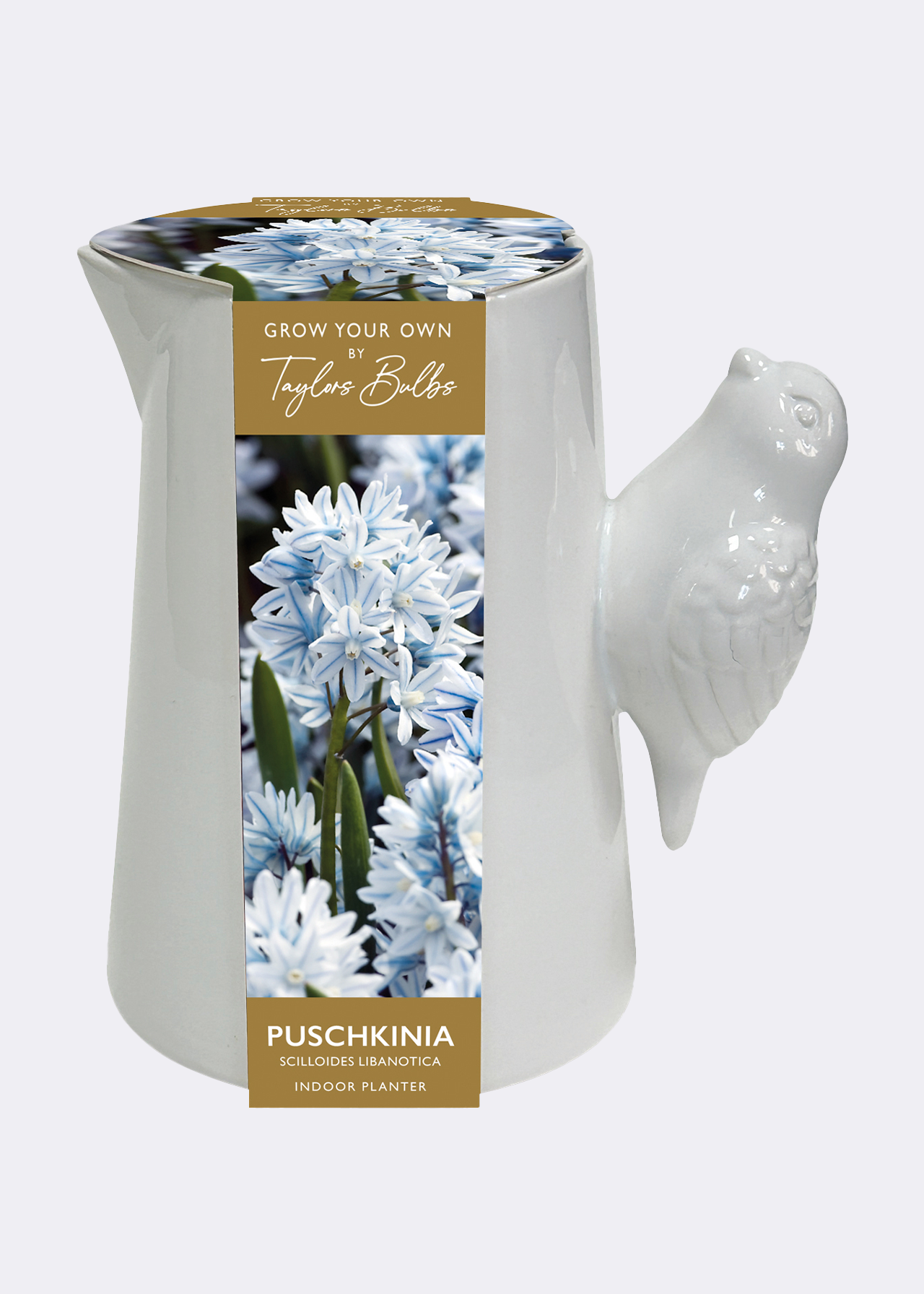 Luxury Bird Handle Jug
