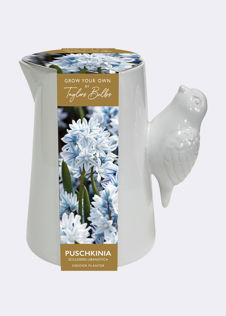 Luxury Bird Handle Jug