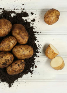 Potato Caledonian Pearl 1.5kg