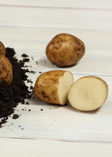 Potato Caledonian Pearl 1.5kg