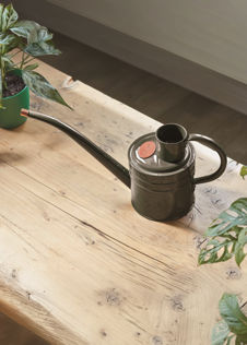Home & Balcony Watering Can 1L Slate