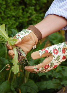 Kent & Stowe Comfort Gardening Gloves Medium Cottage Garden