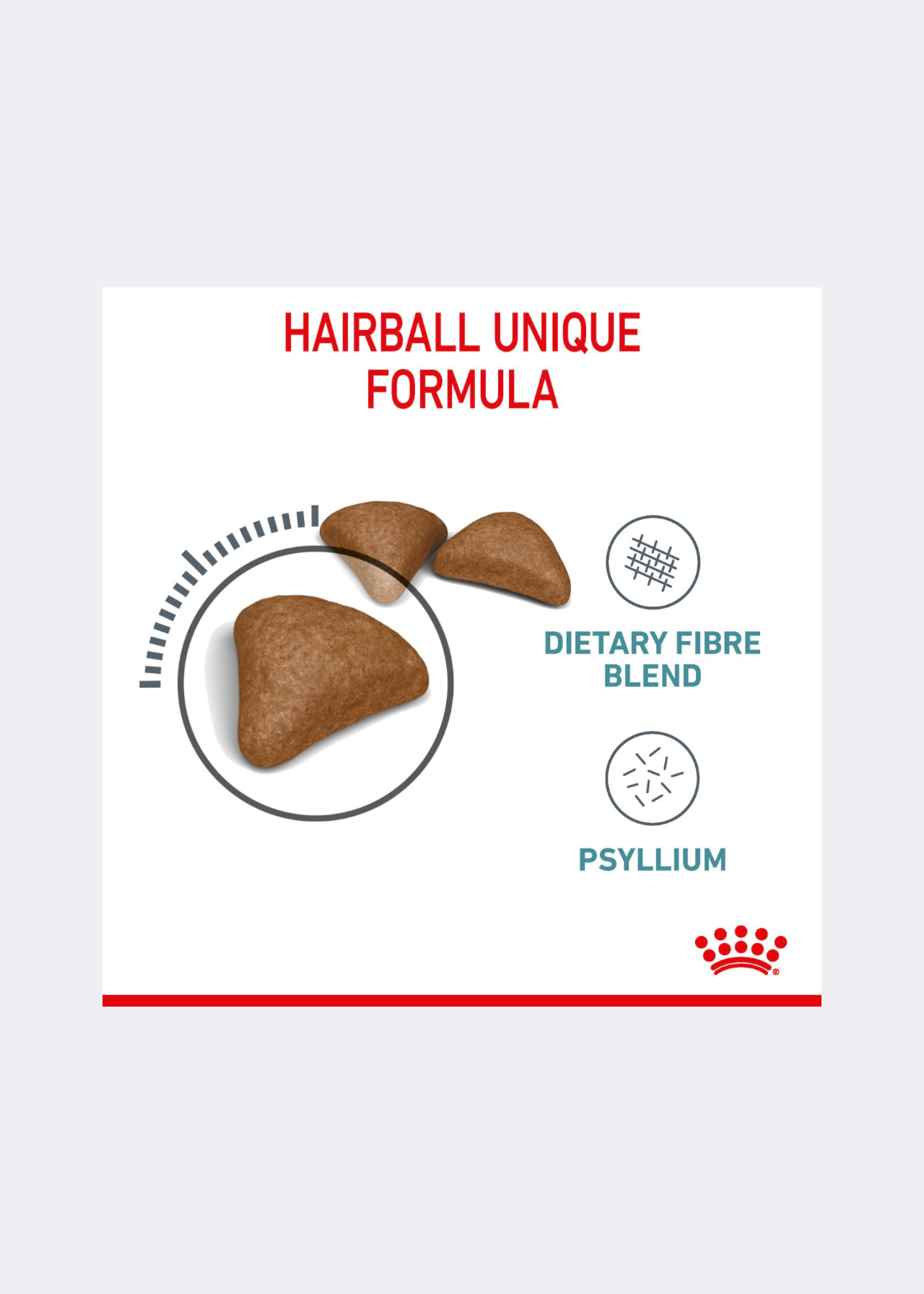 Royal Canin® Feline Hairball Care Dry Cat Food 2kg Dobbies