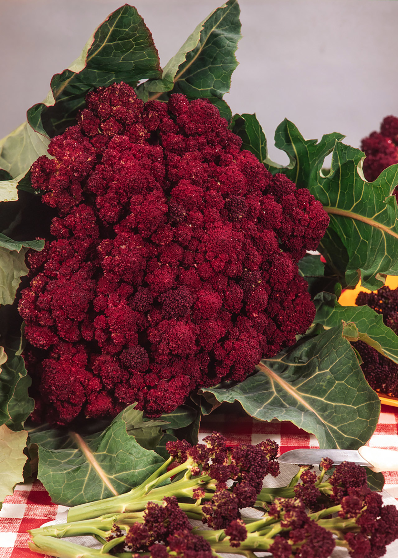 Purple Sprouting Broccoli Strip