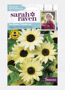 Sunflower Vanilla Ice Seeds