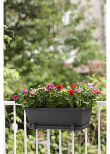 Elho Barcelona Trough Saucer 50cm Grey