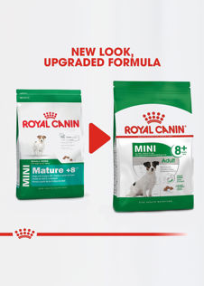 Royal Canin Mini Adult 8+ Dry Dog Food 2kg