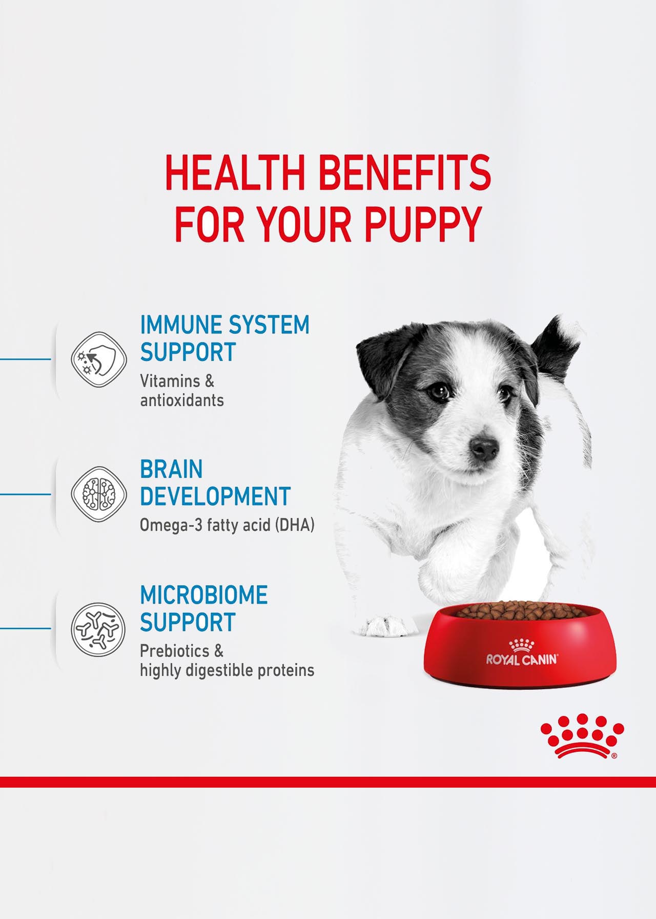 Royal Canin Mini Puppy Dry Dog Food 2kg
