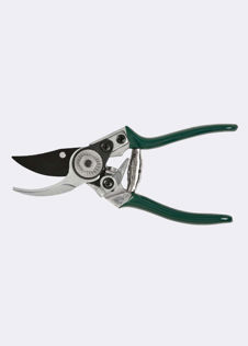 RHS Pocket Pruner Green
