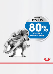 Royal Canin Medium Lightweight Care 3kg