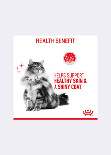 Royal Canin® Feline Intense Beauty Hair & Skin Care Cat Food