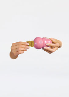 Kong Snacks Puppy Lg EU