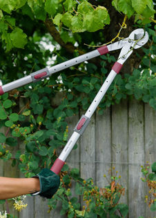 K&S Telescopic Geared Anvil Loppers