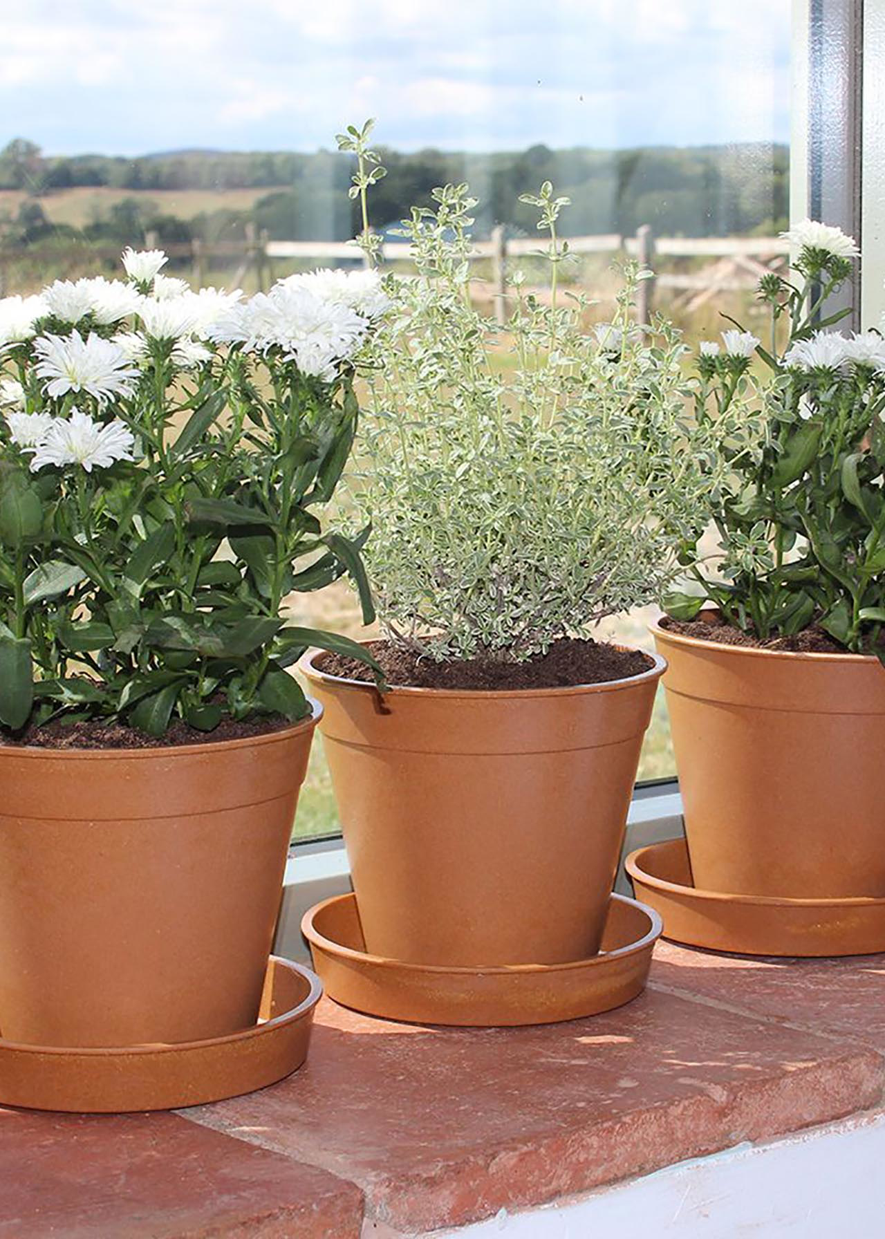 Haxnicks 12.5cm (5") Bamboo Pot 5 pack Terracotta