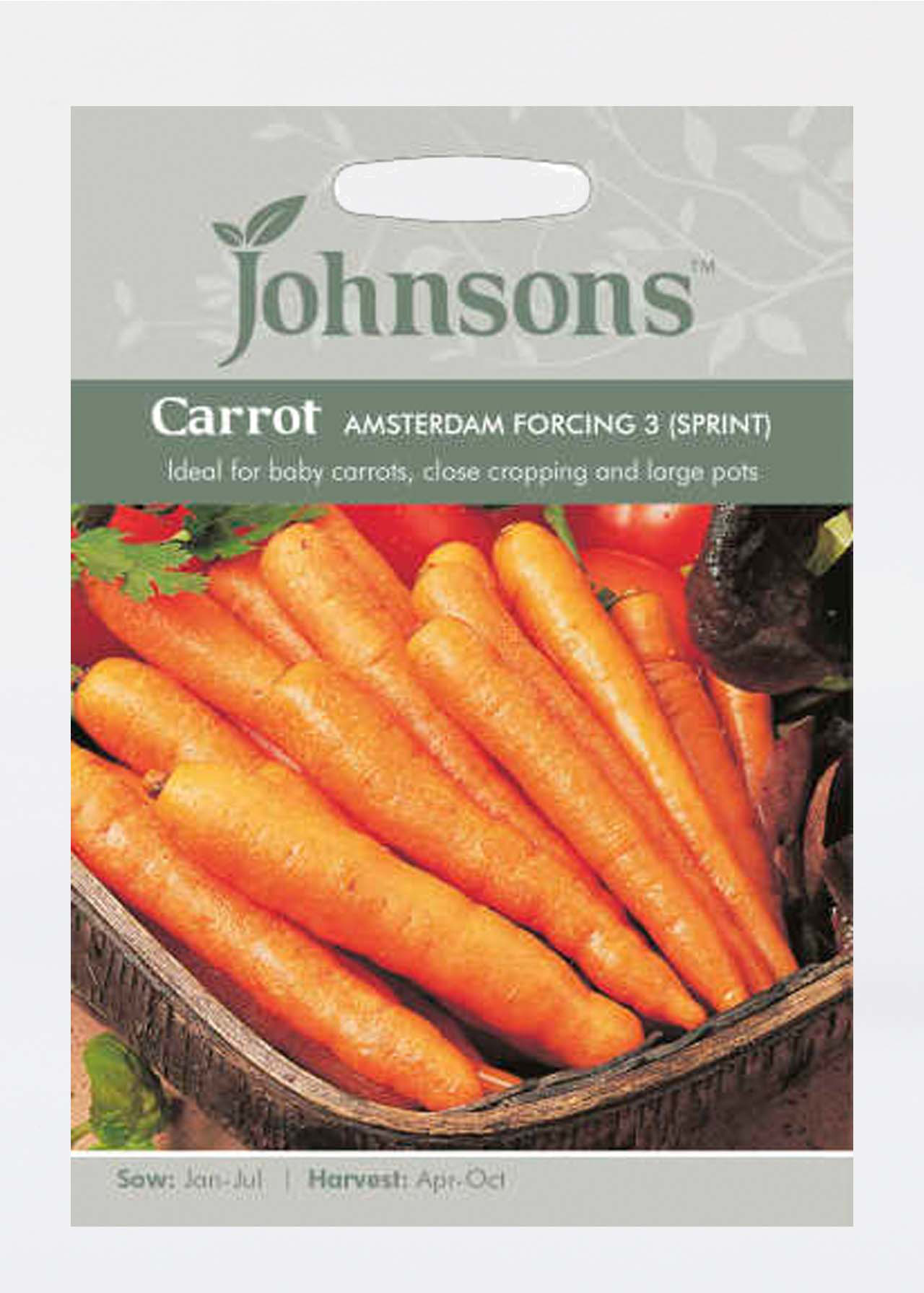 Carrot Amsterdam Forcing 3 (Sprint) Seeds