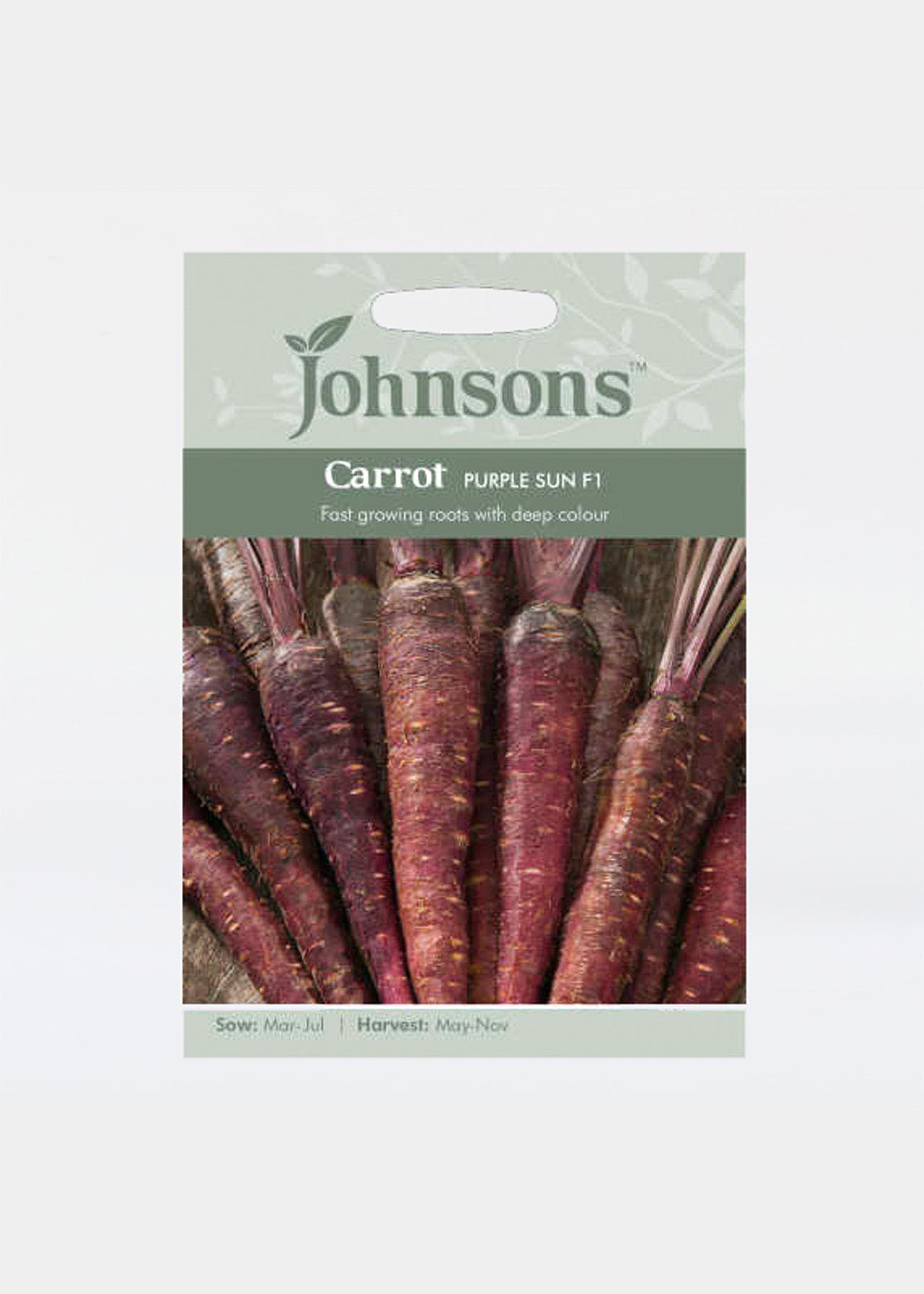Carrot Purple Sun F1 Seeds