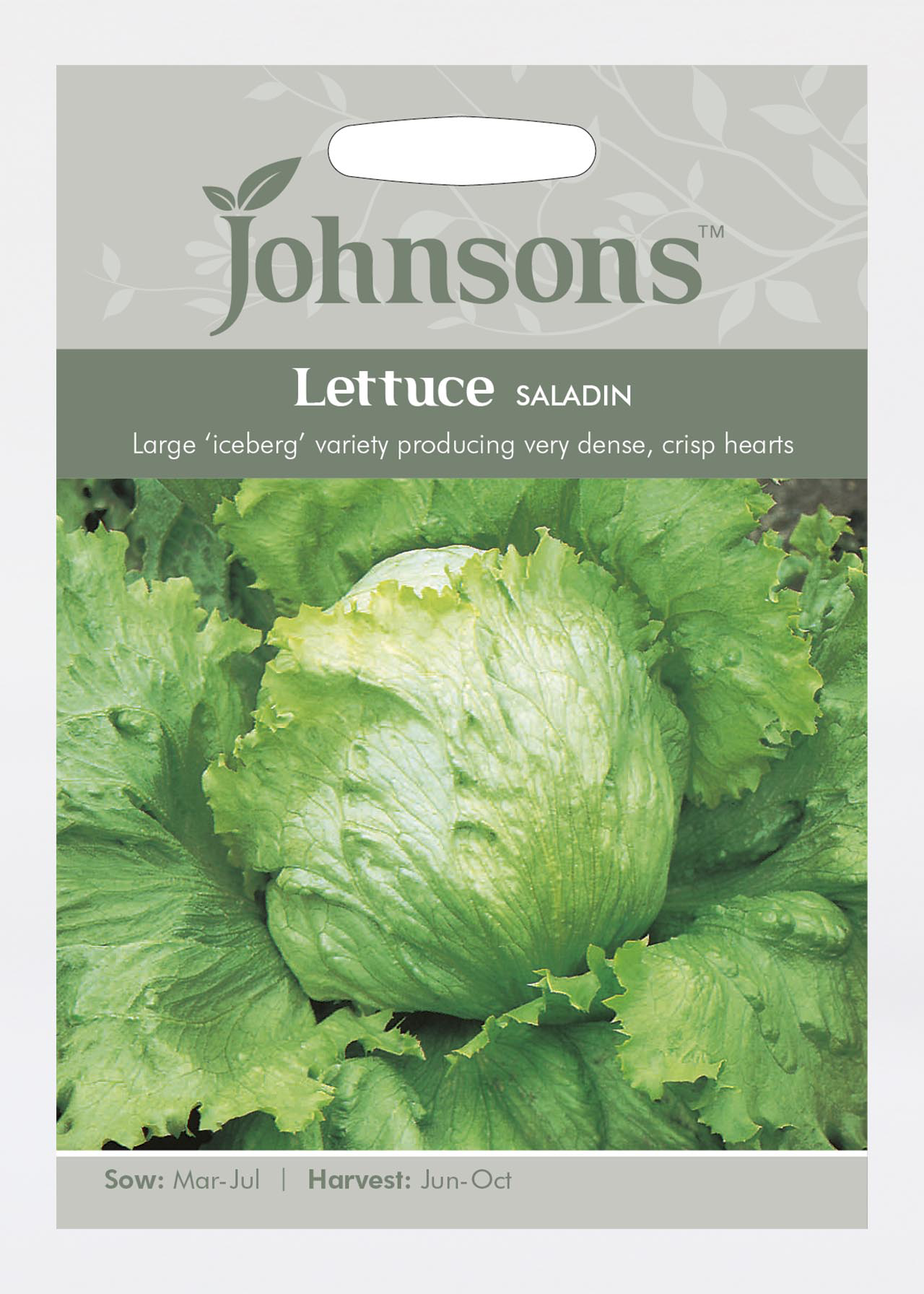 Lettuce Saladin Seeds