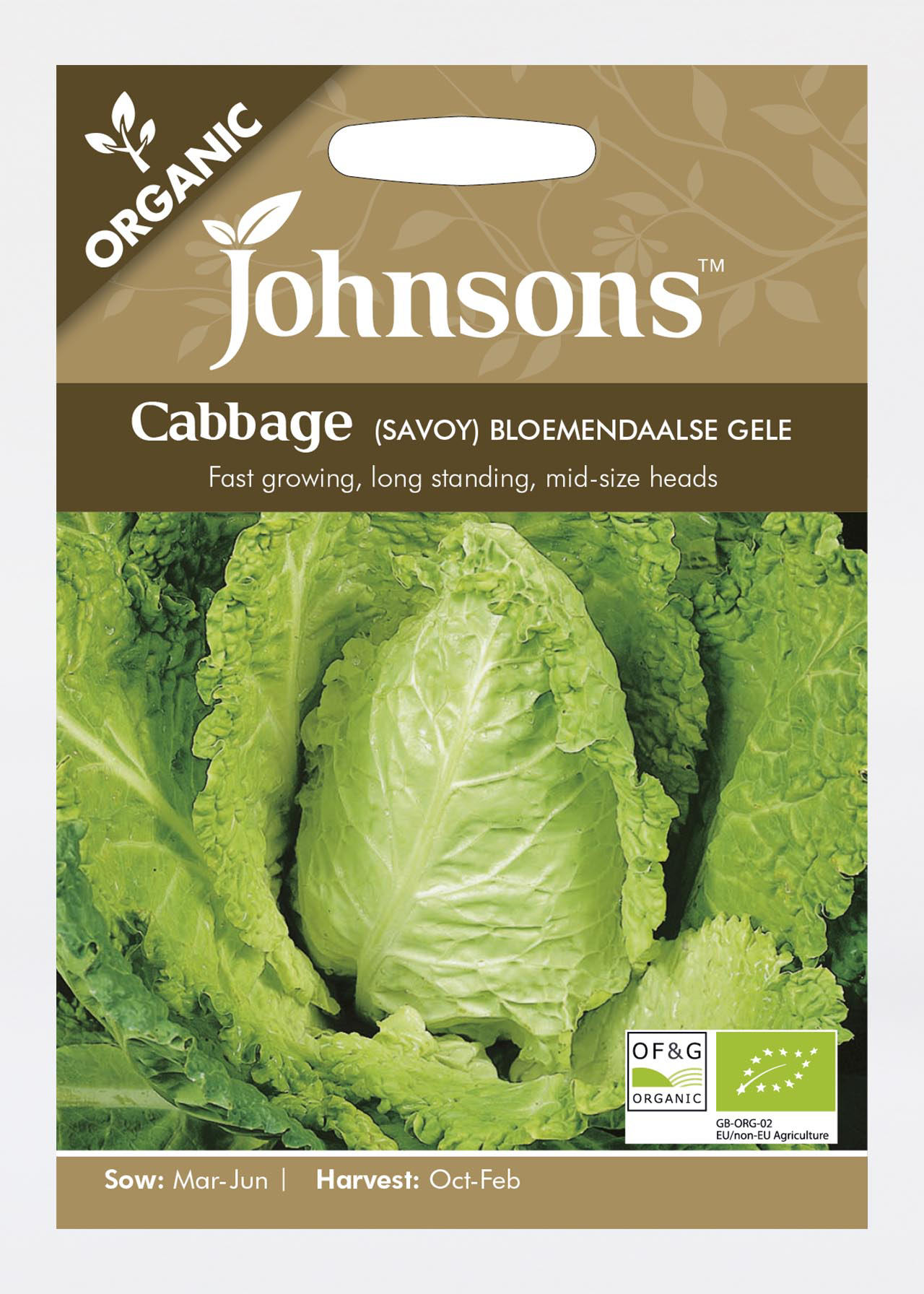 Cabbage (Savoy) Bloemendaalse Gele Seeds