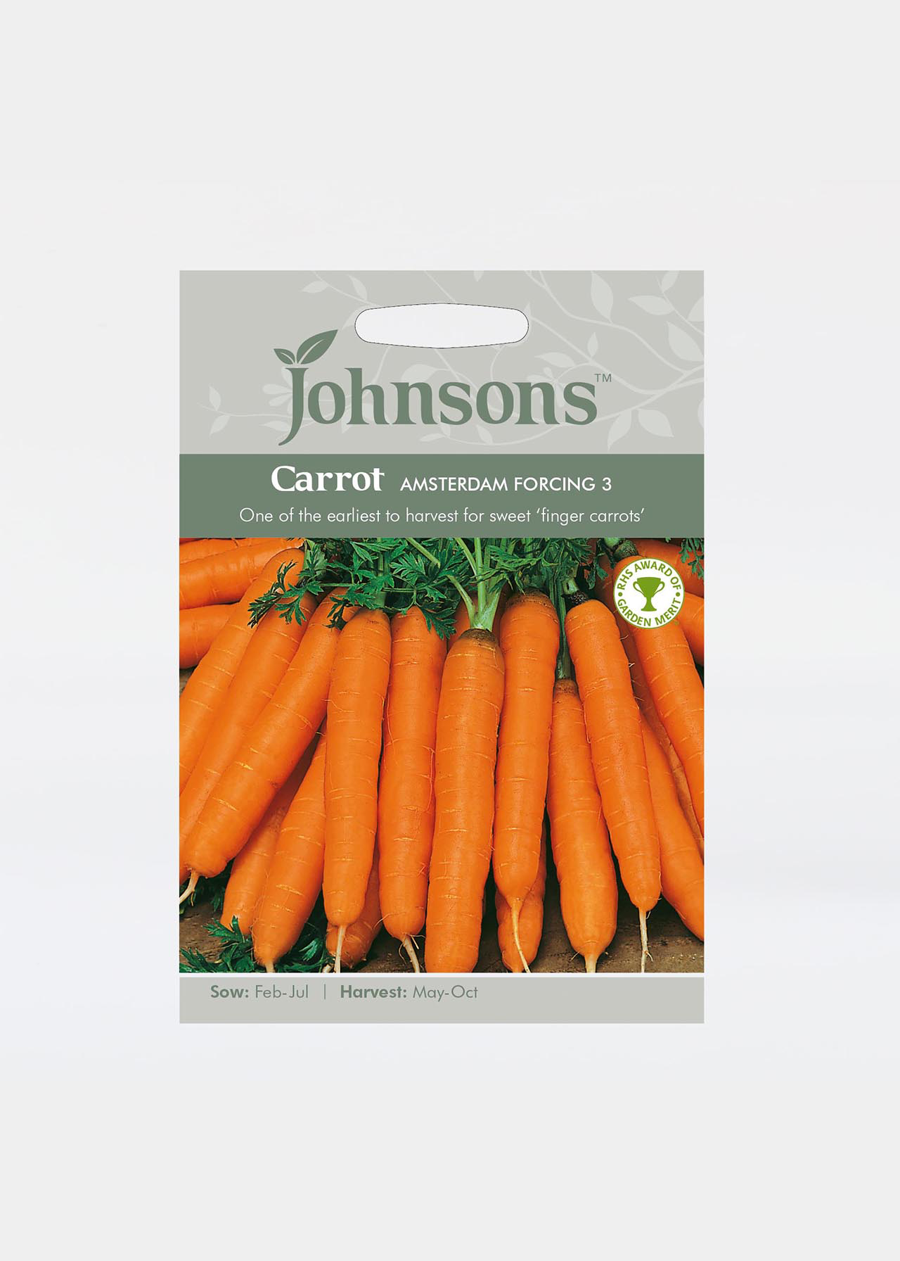 Carrot Amsterdam Forcing 3 Seeds