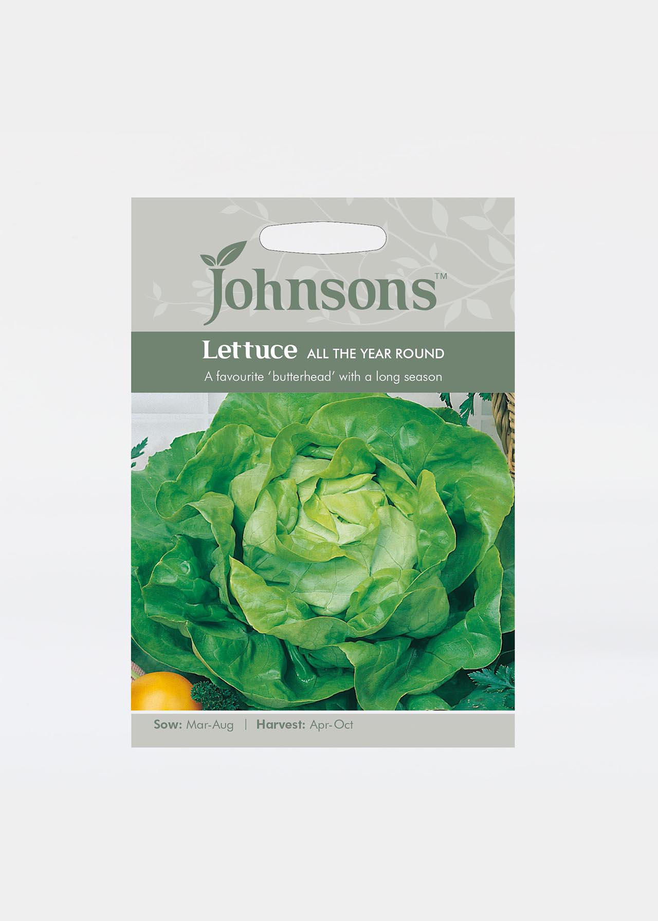 Lettuce All The Year Round Seeds