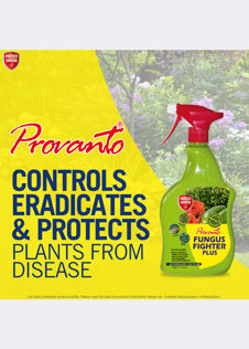 Provanto Fungus Fighter 1L