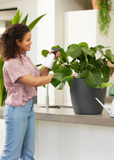 Brussels Watering Can 1.8ltr White