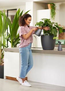 Brussels Watering Can 1.8ltr Anthracite