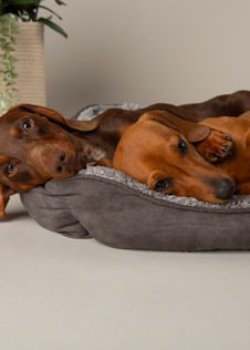 Scruffs Cosy Box Dog Bed Medium Grey