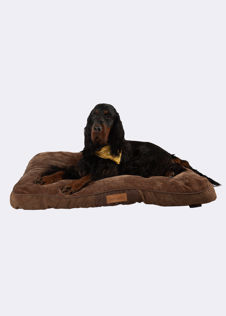 Scruffs Chester Mattress Dog Bed Large Chocolate
