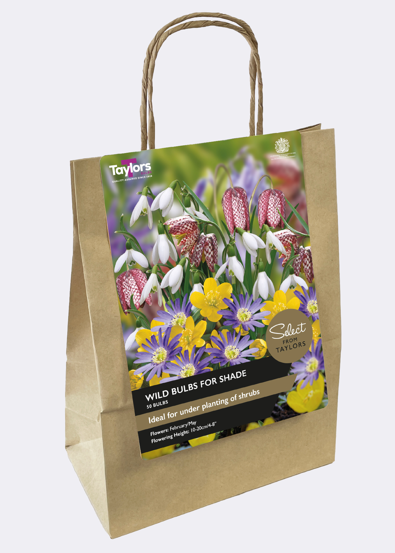 Wild Bulbs For Shade Collection pack of 50