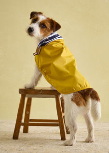 Dog Raincoat Joules Dog Coat Size Guide Buy Dog Raincoat