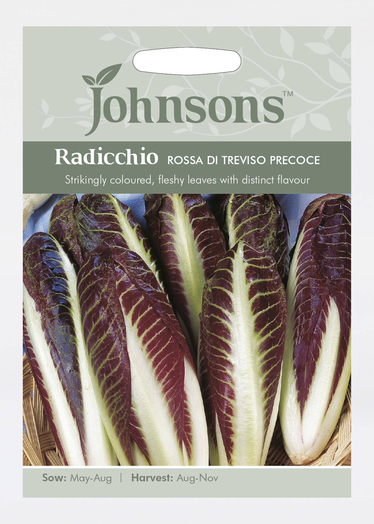 Radicchio Rossa Di Treviso Precoce Seeds
