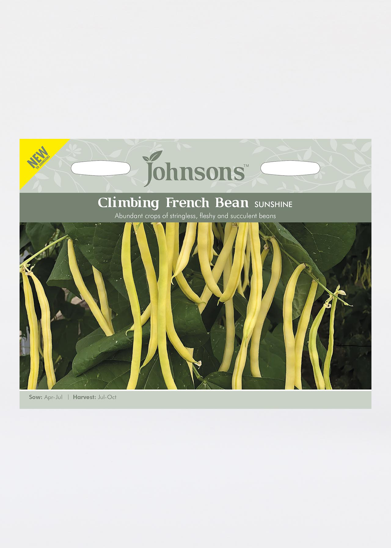 Climbing French Bean Sunshine Seeds