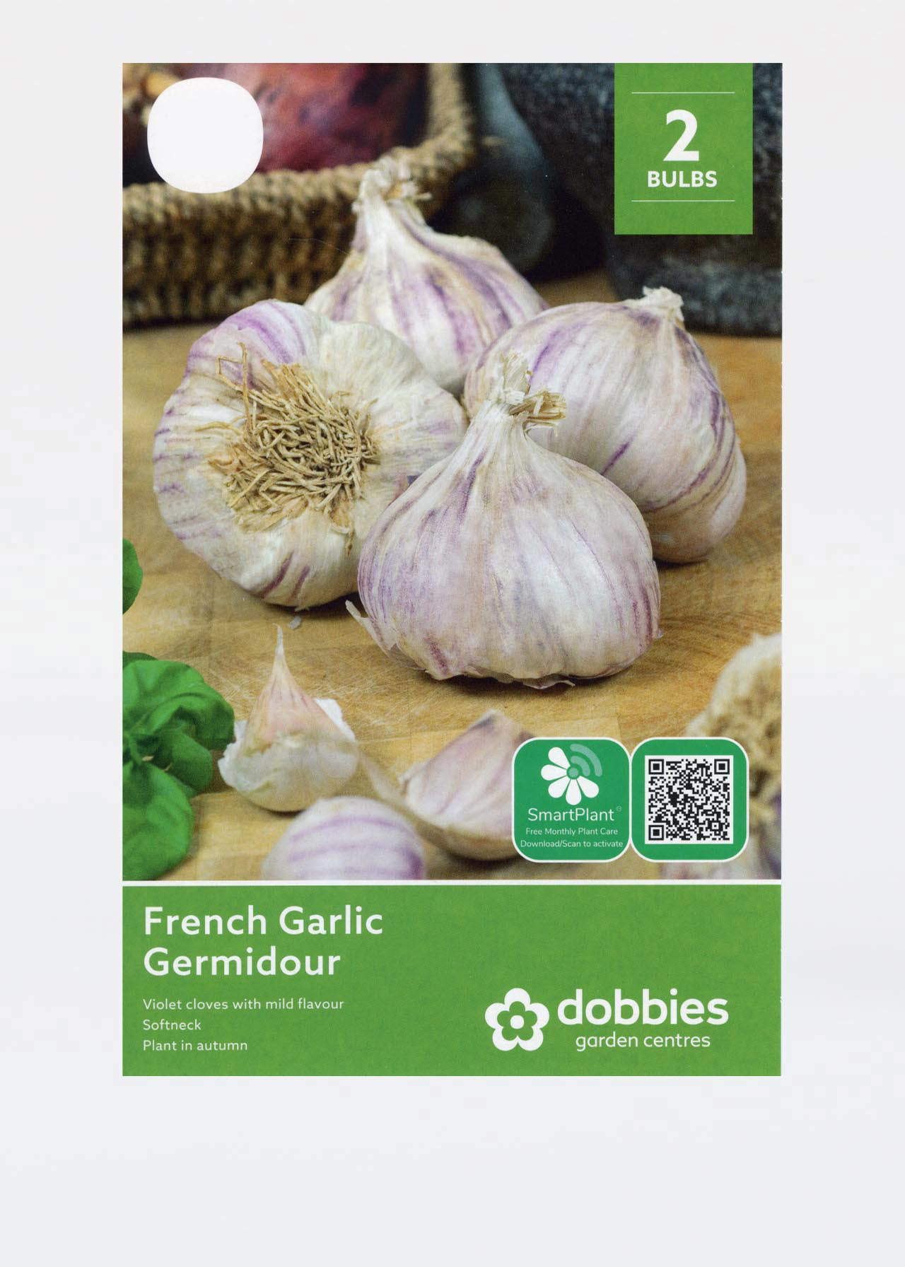French Garlic Germidour pack of 2