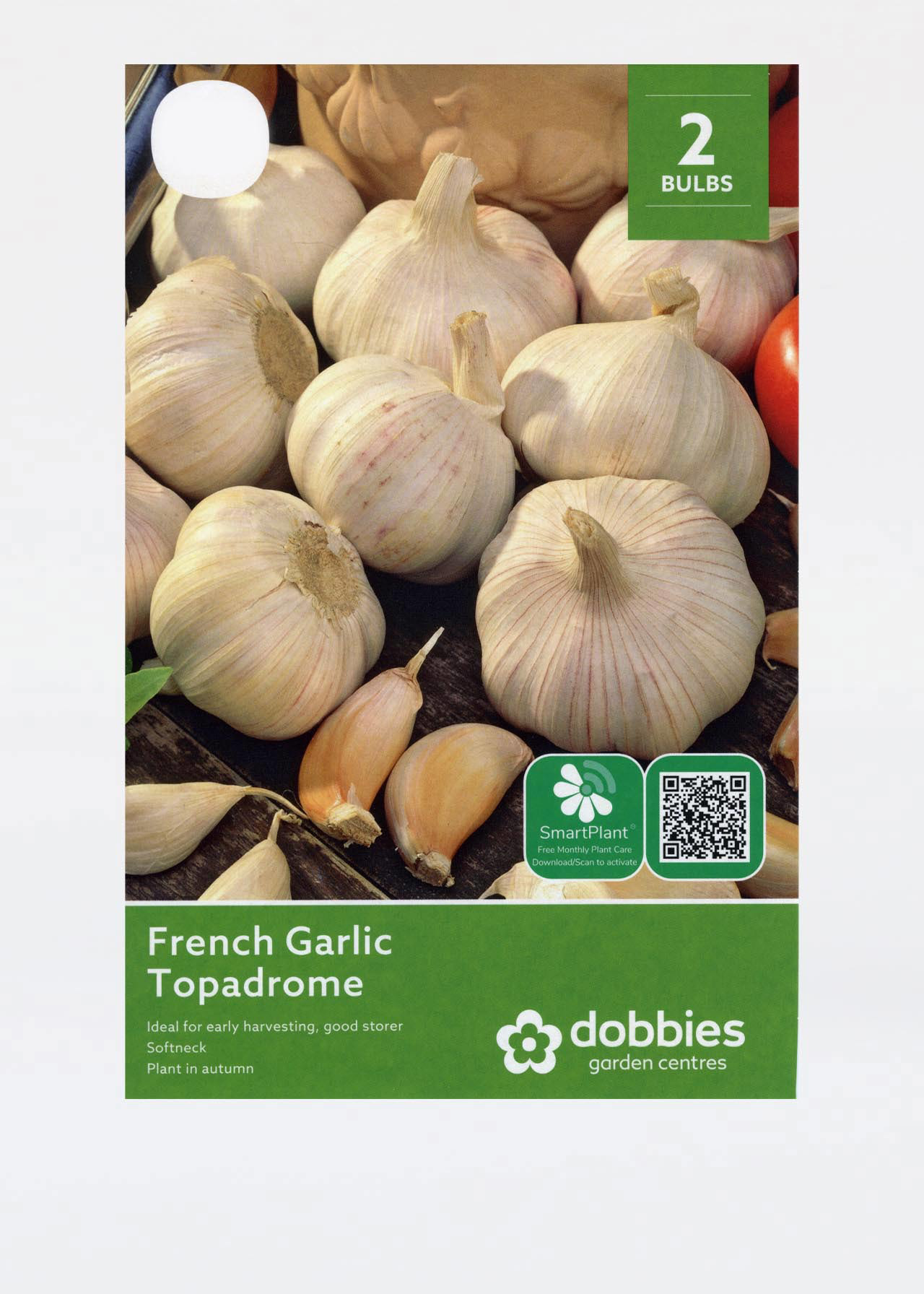 French Garlic Topadrome pack of 2