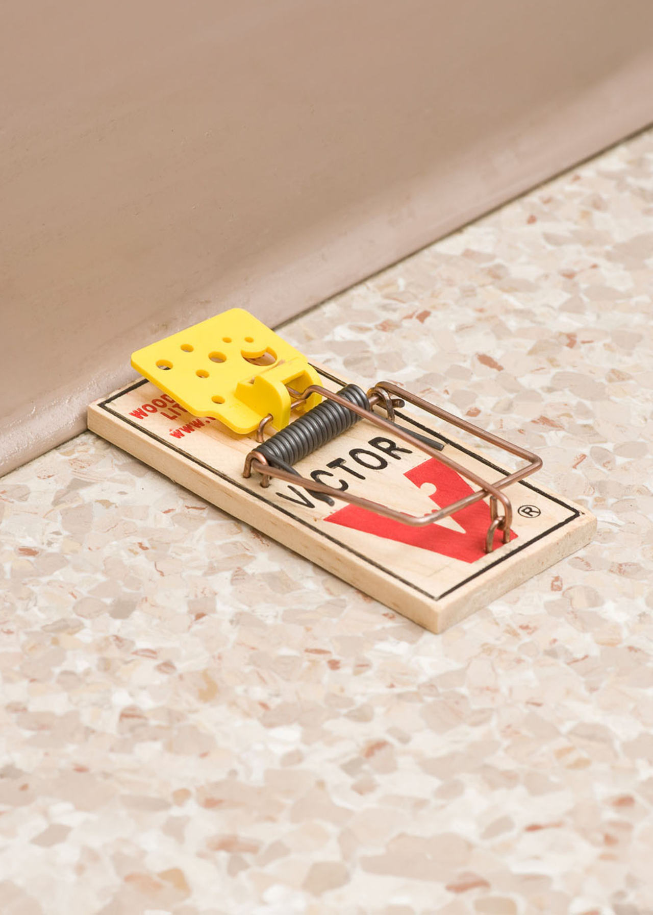 Pack of 2 Deadfast Easy Set Mouse Traps