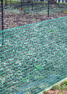 19mm Green Plastic Garden Mesh 0.5m x 6m - Pre-Pack