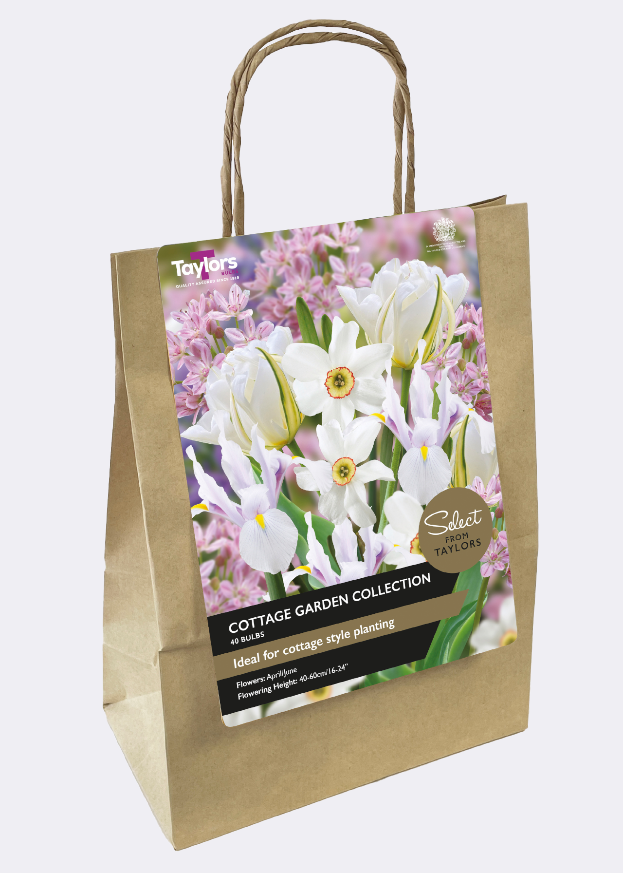 Cottage Garden Collection pack of 40